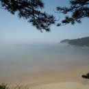 천리포선착장 이미지