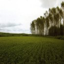 흥농농장 이미지