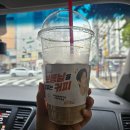 매머드커피