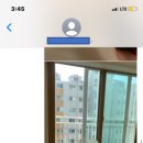 모도리클린 이미지