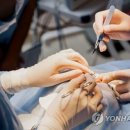 수백