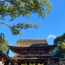 금성여관 | 일본 후쿠오카 유후인 버스투어 추천 _다자이후 가마도지옥