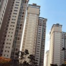 사명통증의학과의원 네이버블로그
