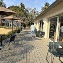 [부산/내돈내산] 기장 임랑원 스타벅스 / 기장 바다뷰와 대나무 숲을 동시에 / 바리스타곰돌이 / 주차
