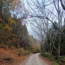 3.1.운동 기념비 맞은편 이미지