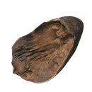 가족나무 이미지