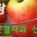 선문농원 이미지