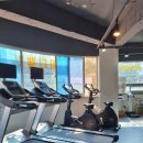 바디웰핏 이미지