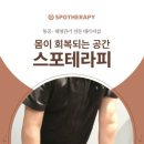 스포테라피세종