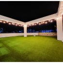 카르펫디엠 강아지유치원 이미지