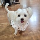 유월한의원 이미지