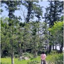 울릉자생식물원_ 울릉도 사동 근처 꽃이 가득한 히든 플레이스