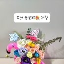 쁘띠뽀레 이미지