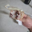 산들정 | 두루두루 내돈내산 리뷰! (투돈뷰)