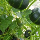 조리농업협동조합 이미지