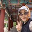 5월2일 포항오어?.길 이미지