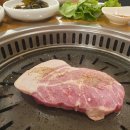 지리산꺼먹돼지 이미지