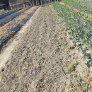 안정농장 이미지