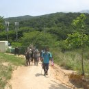 호룡곡산 구름다리 이미지