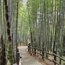 태인농장2 이미지