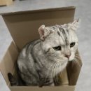 아띠빌 네이버블로그
