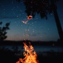 후계자주말농장 이미지