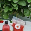 율이네농장 이미지