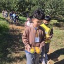 비룡농장 이미지