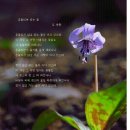 흔들리며 피는 꽃 이미지