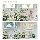 베르크스튜디오 이미지