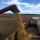 지수농장 이미지