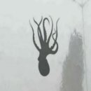 해운대구청 이미지