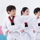 선인태권도장 네이버블로그