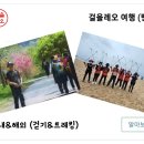 2024 KTX 기차 타고, 양평 벚꽃길 트레킹 여행 이미지