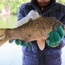 초평낚시터 이미지