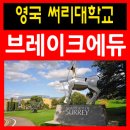 호텔경영추천 영국대학교 써리대학교 파운데이션 입학요건