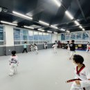 다오름태권도장 네이버블로그