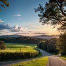 [서부] 노래교실 | 크루즈여행 7일차 호놀룰루 향해 해상 일정 완전 진행