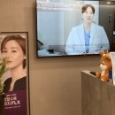 닥터디자이너의원 이미지