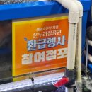 노량진수산시장 맛집 성진수산 농어 광어 회포장 후기 ㅎㅎ