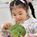 놀작늘봄미술교습소 이미지