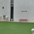 레인바우애견카페 이미지
