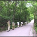 동국대학교 불교대학원 이미지