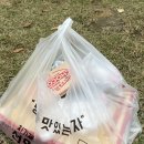 선명희피자 동탄에비뉴점(feat.동탄호수공원 피크닉🎀)