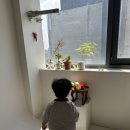 젤리빈스튜디오