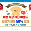 퍼피캣 강아지분양 인천루원시티점 | [공지] 퍼피캣 루원시티점 확장이전 안내 &amp; 이전관련 분양할인 최대 50%(책임분양)