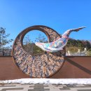 오로라파크 눈꽃전망 이미지