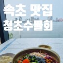 속초 맛집 청초수물회 본점 해전물회 오징어순대