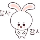 월영 공인중개사사무소 이미지