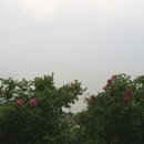 해안농장 Daum카페